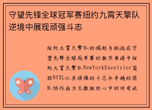 守望先锋全球冠军赛纽约九霄天擎队逆境中展现顽强斗志