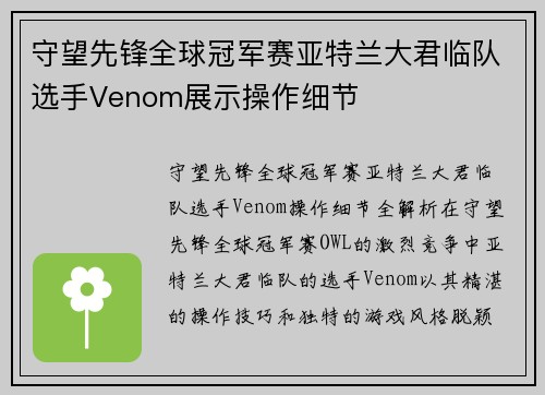 守望先锋全球冠军赛亚特兰大君临队选手Venom展示操作细节